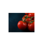 Petomech Tomato